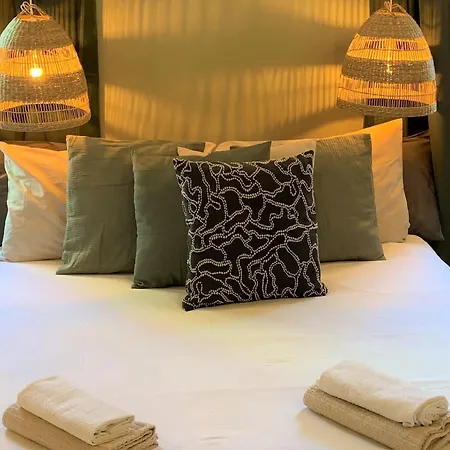 Mini キオッジャ